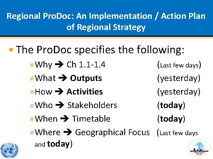 Regional Pro. Doc: An Implementation / Action Plan of Regional Strategy • The Pro.