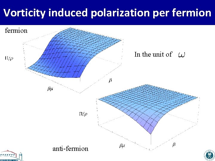 Vorticity induced polarization per fermion In the unit of anti-fermion 