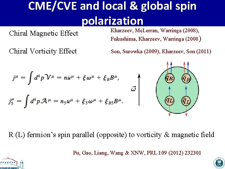 CME/CVE and local & global spin polarization Chiral Magnetic Effect Kharzeev, Mc. Lerran, Warringa