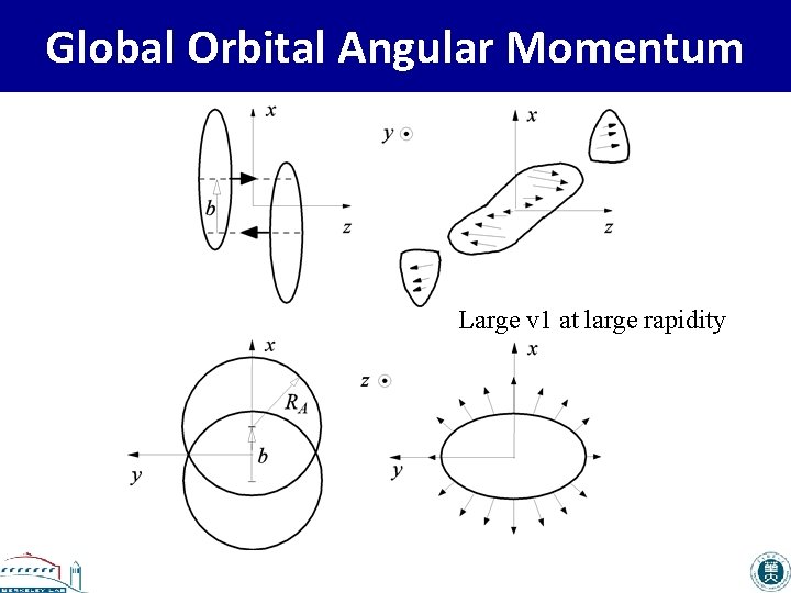 Global Orbital Angular Momentum Large v 1 at large rapidity 