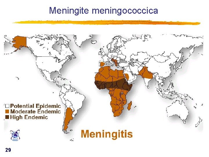 Meningite meningococcica 29 