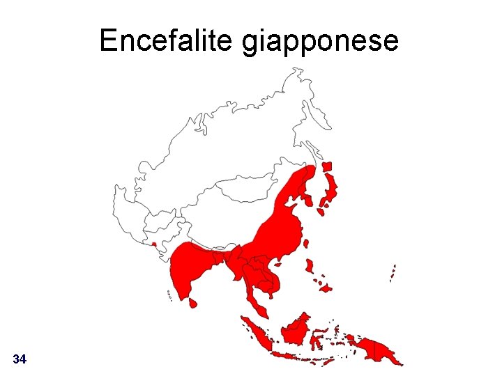 Encefalite giapponese 34 