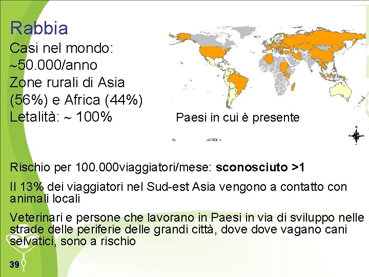 Rabbia Casi nel mondo: 50. 000/anno Zone rurali di Asia (56%) e Africa (44%)