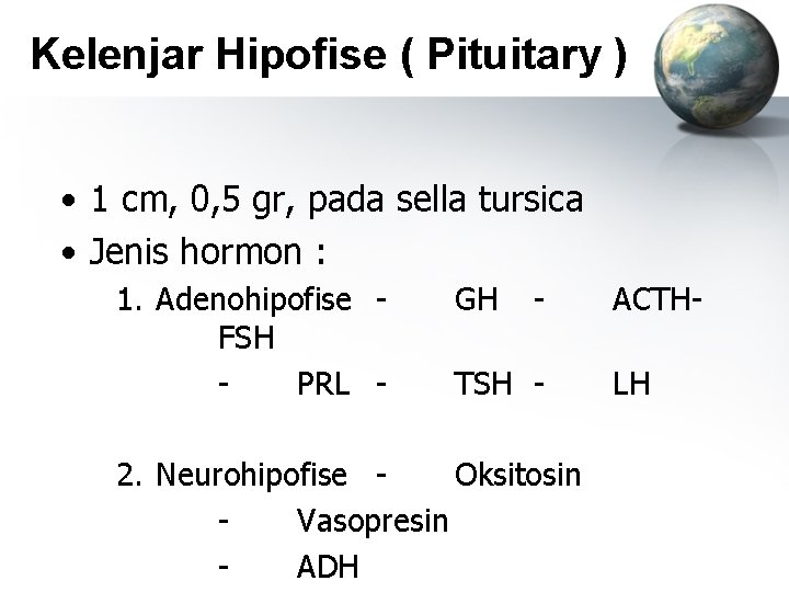 Kelenjar Hipofise ( Pituitary ) • 1 cm, 0, 5 gr, pada sella tursica