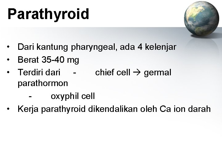 Parathyroid • Dari kantung pharyngeal, ada 4 kelenjar • Berat 35 -40 mg •