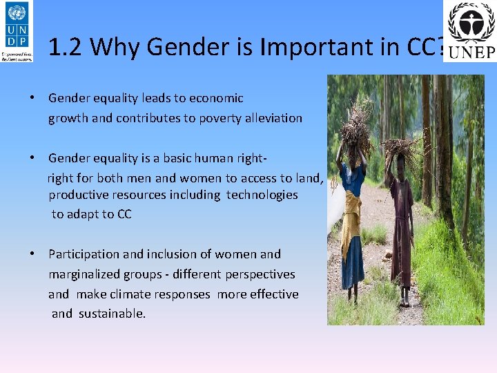 1. 2 Why Gender is Important in CC? • Gender equality leads to economic