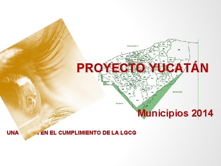 PROYECTO YUCATÁN Municipios 2014 UNA VISIÓN EN EL CUMPLIMIENTO DE LA LGCG 
