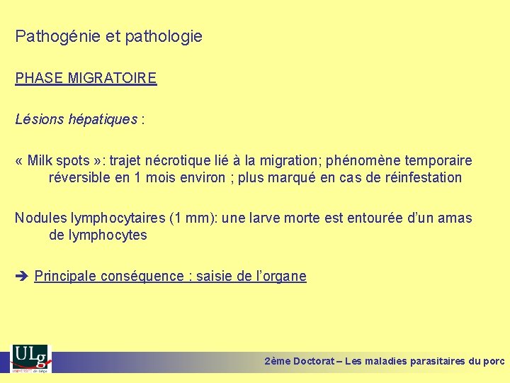 Pathogénie et pathologie PHASE MIGRATOIRE Lésions hépatiques : « Milk spots » : trajet