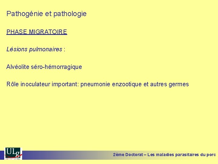 Pathogénie et pathologie PHASE MIGRATOIRE Lésions pulmonaires : Alvéolite séro-hémorragique Rôle inoculateur important: pneumonie