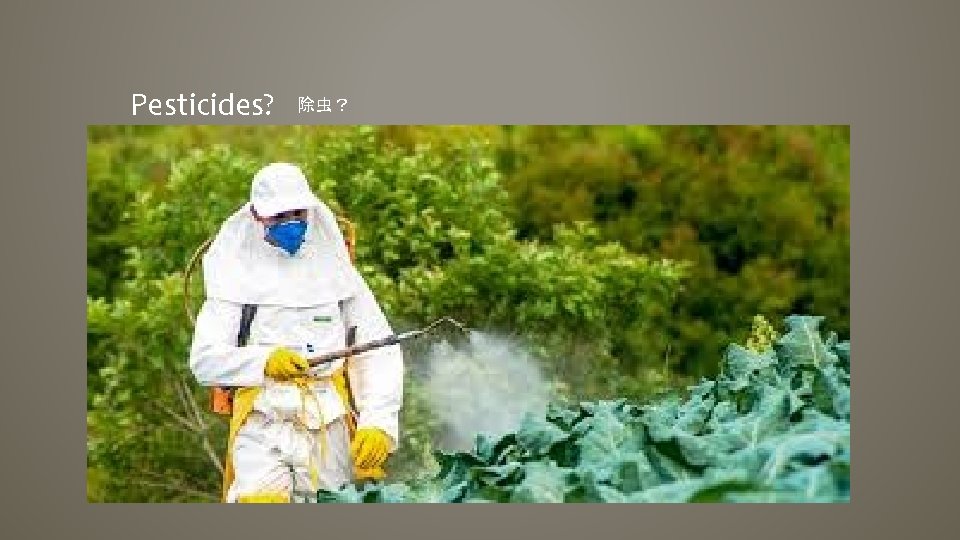 Pesticides? 除虫？ 