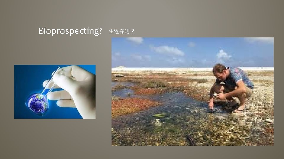 Bioprospecting? 生物探测？ 