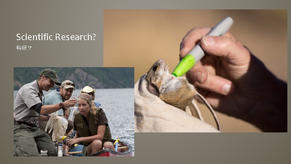 Scientific Research? 科研？ 