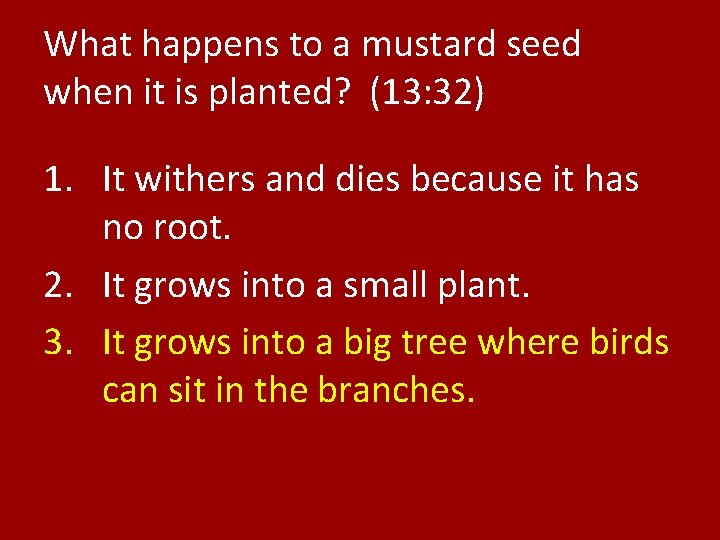 What happens to a mustard seed when it is planted? (13: 32) 1. It