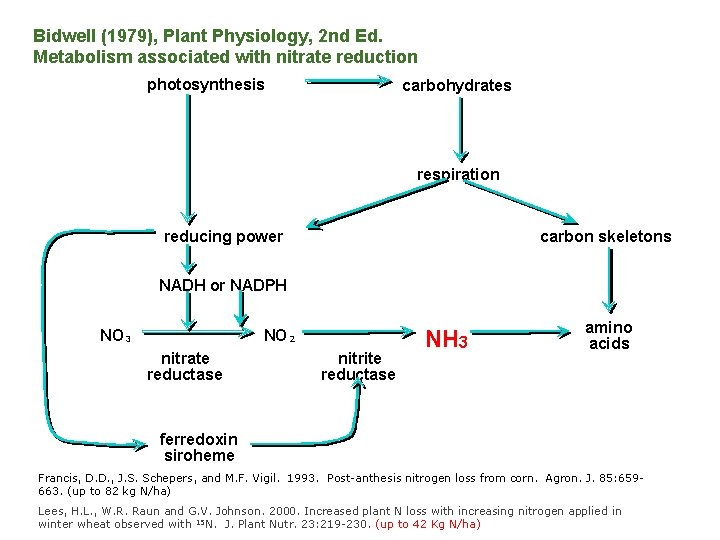 Bidwell (1979), Plant Physiology, 2 nd Ed. Metabolism associated with nitrate reduction photosynthesis carbohydrates