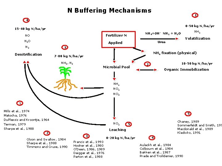 N Buffering Mechanisms 1 4 0 -50 kg N/ha/yr 15 -40 kg N/ha/yr NO