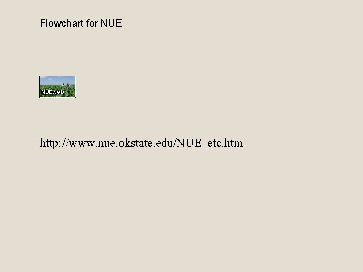 Flowchart for NUE http: //www. nue. okstate. edu/NUE_etc. htm 