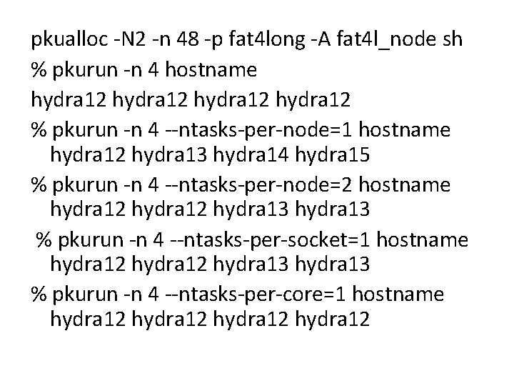 pkualloc -N 2 -n 48 -p fat 4 long -A fat 4 l_node sh
