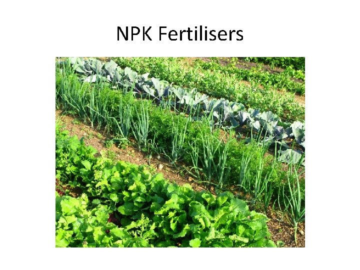 NPK Fertilisers 