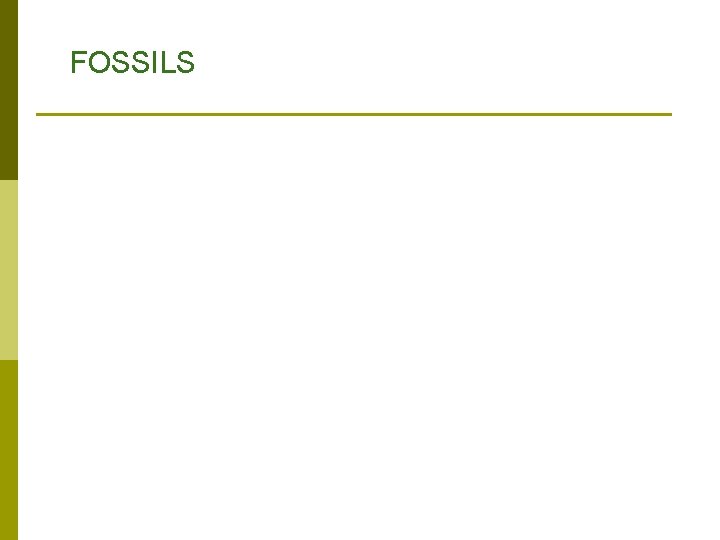 FOSSILS FOSSILS