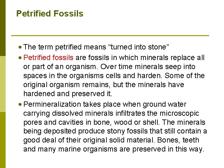 Petrified Fossils • The term petrified means “turned into stone” • Petrified fossils are Petrified Fossils • The term petrified means “turned into stone” • Petrified fossils are