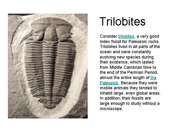 Trilobites Consider trilobites, a very good index fossil for Paleozoic rocks. Trilobites lived in Trilobites Consider trilobites, a very good index fossil for Paleozoic rocks. Trilobites lived in