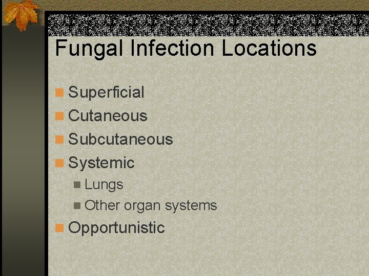 Fungal Infection Locations n Superficial n Cutaneous n Subcutaneous n Systemic n Lungs n