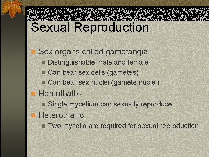 Sexual Reproduction n Sex organs called gametangia n Distinguishable male and female n Can