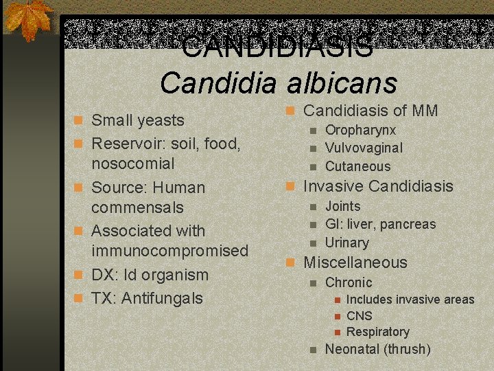 CANDIDIASIS Candidia albicans n Small yeasts n Reservoir: soil, food, n n nosocomial Source: