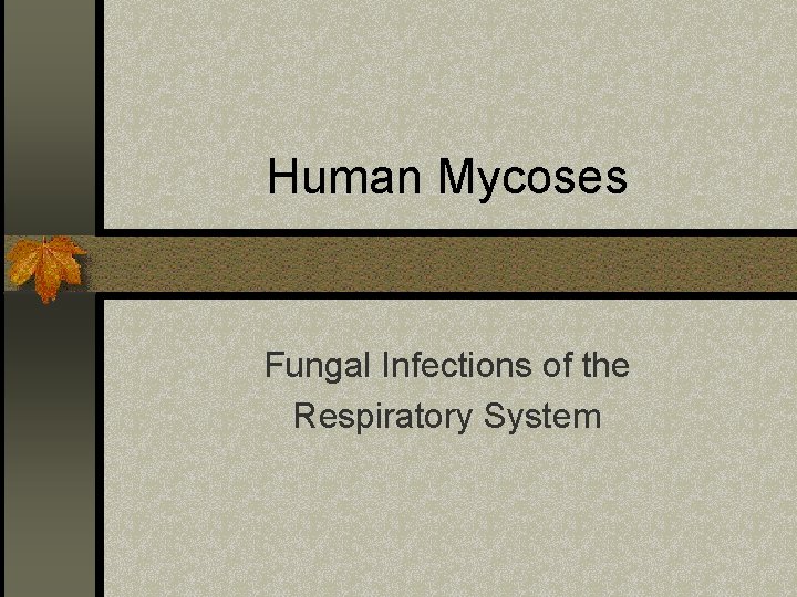 Human Mycoses Fungal Infections of the Respiratory System 