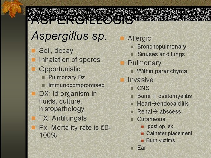 ASPERGILLOSIS Aspergillus sp. n Allergic n Soil, decay n Inhalation of spores n Opportunistic