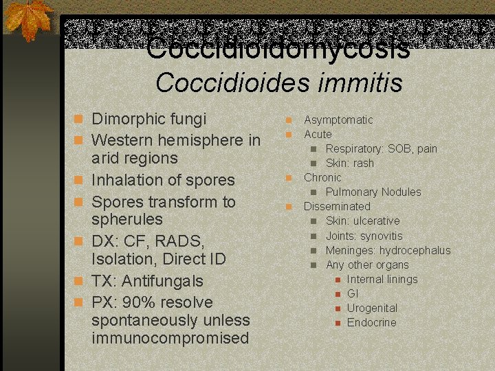 Coccidioidomycosis Coccidioides immitis n Dimorphic fungi n n Western hemisphere in n n n