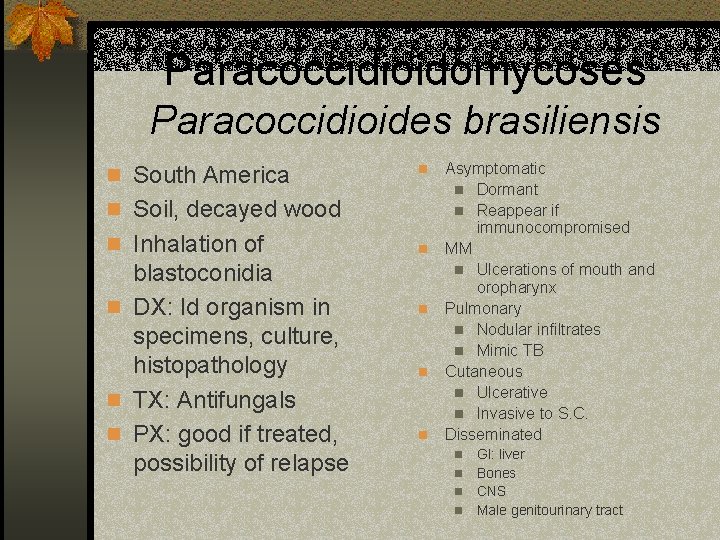 Paracoccidioidomycoses Paracoccidioides brasiliensis n South America n n Soil, decayed wood n Inhalation of
