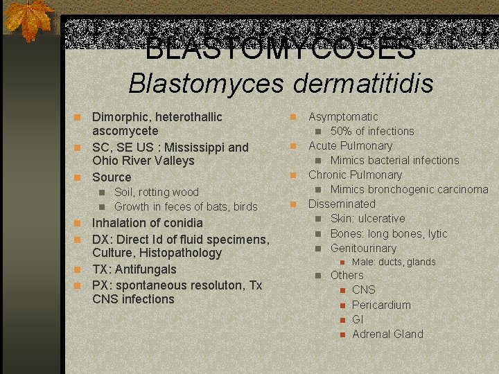 BLASTOMYCOSES Blastomyces dermatitidis n Dimorphic, heterothallic ascomycete n SC, SE US : Mississippi and