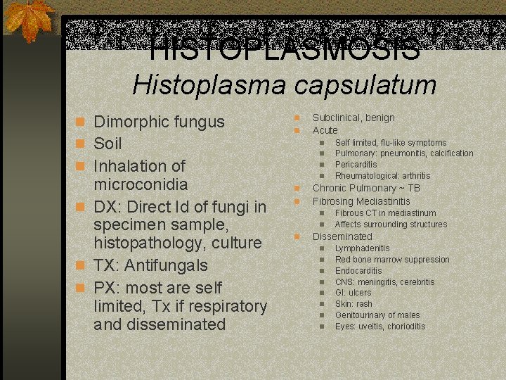 HISTOPLASMOSIS Histoplasma capsulatum n Dimorphic fungus n Soil n n n Inhalation of microconidia