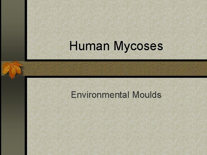 Human Mycoses Environmental Moulds 