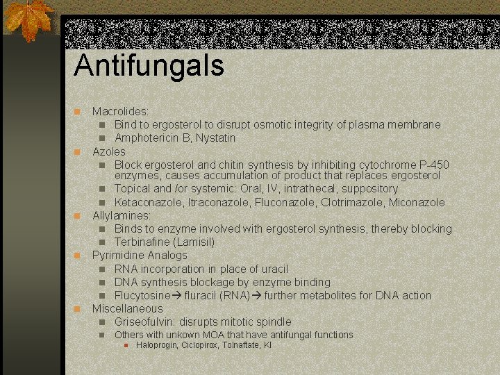 Antifungals n n n Macrolides: n Bind to ergosterol to disrupt osmotic integrity of