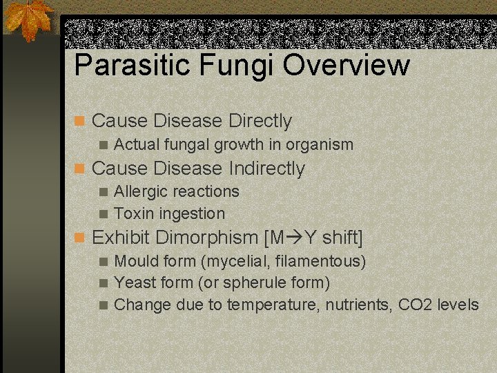 Parasitic Fungi Overview n Cause Disease Directly n Actual fungal growth in organism n