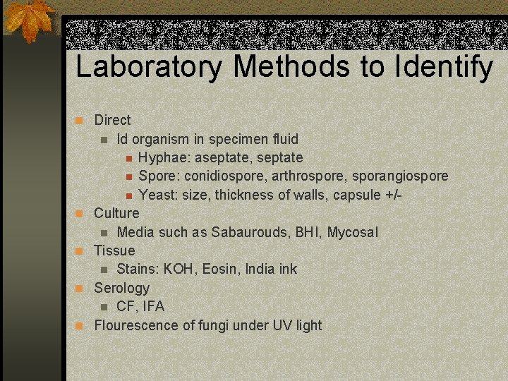 Laboratory Methods to Identify n Direct Id organism in specimen fluid n Hyphae: aseptate,