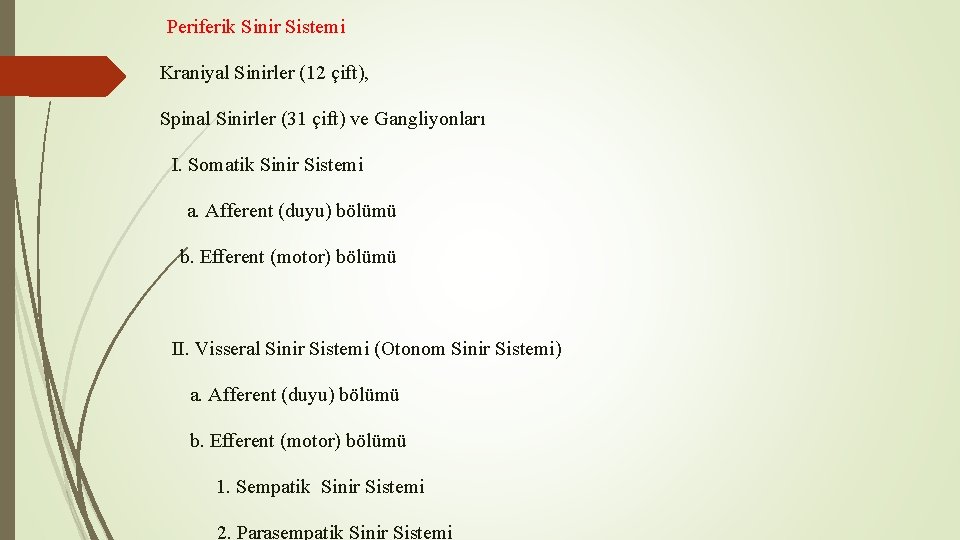 Periferik Sinir Sistemi Kraniyal Sinirler (12 çift), Spinal Sinirler (31 çift) ve Gangliyonları I.