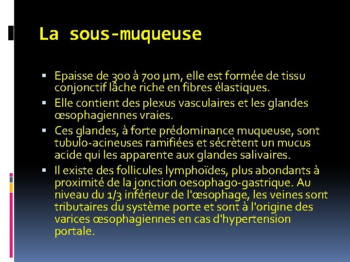 La sous-muqueuse Epaisse de 300 à 700 μm, elle est formée de tissu conjonctif