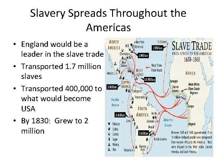 Slavery Spreads Throughout the Americas • England would be a leader in the slave