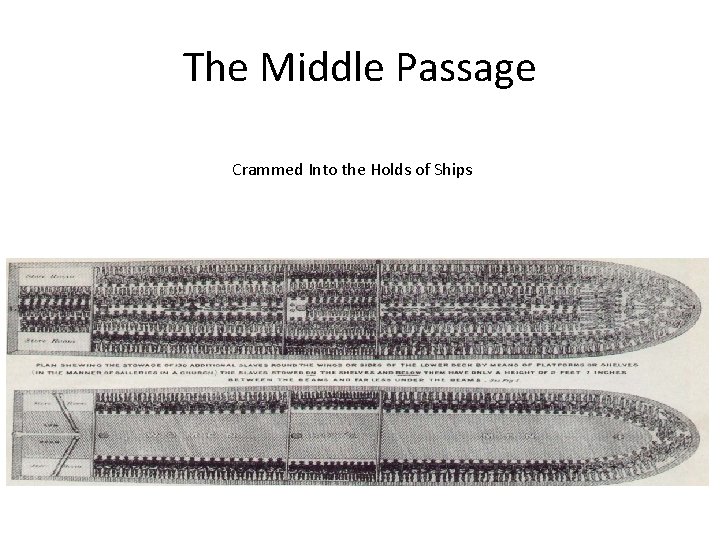 The Middle Passage Crammed Into the Holds of Ships 