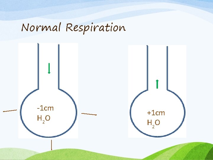 Normal Respiration -1 cm H 2 O +1 cm H 2 O 