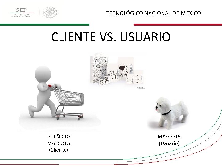 TECNOLÓGICO NACIONAL DE MÉXICO CLIENTE VS. USUARIO DUEÑO DE MASCOTA (Cliente) MASCOTA (Usuario) 
