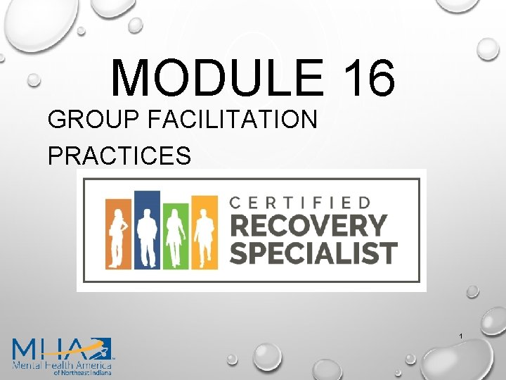 MODULE 16 GROUP FACILITATION PRACTICES 1 