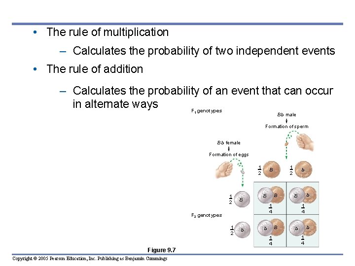  • The rule of multiplication – Calculates the probability of two independent events