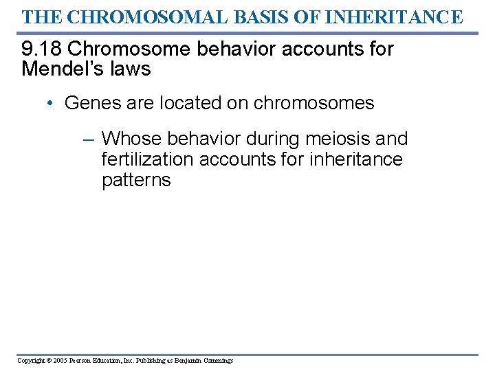 THE CHROMOSOMAL BASIS OF INHERITANCE 9. 18 Chromosome behavior accounts for Mendel’s laws •