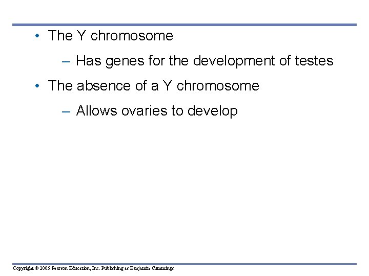  • The Y chromosome – Has genes for the development of testes •