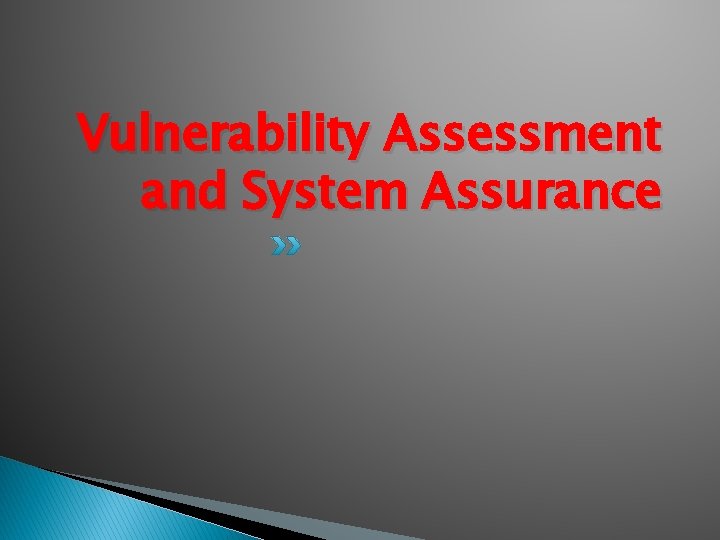 Vulnerability Assessment and System Assurance 