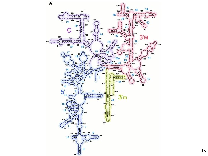 Yusupov, MM 2 001 fig 3 a 13 